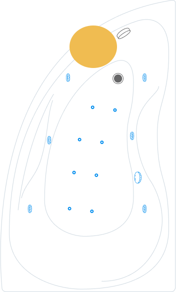 / /