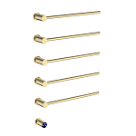 Электрический полотенцесушитель Terminus Аккорд П5 50*80 брашированное золото